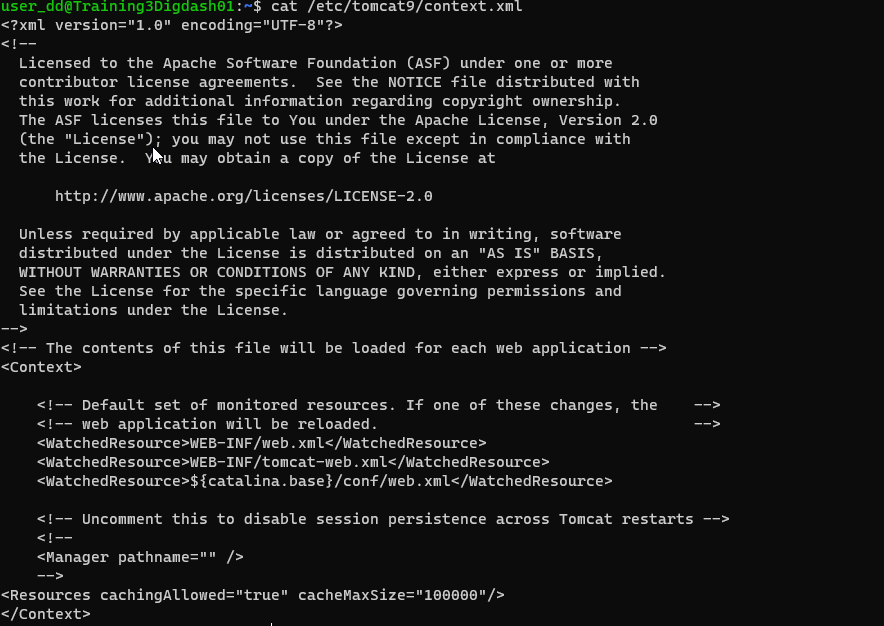 context.xml