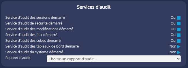 Services d'audit