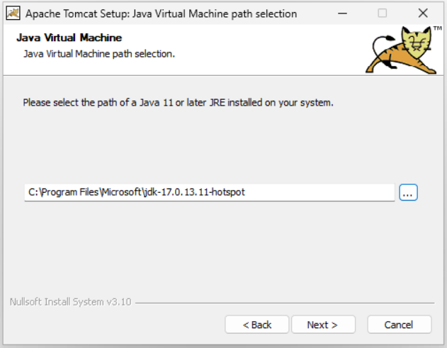 Tomcat3.png