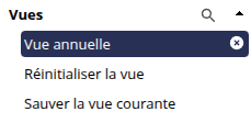 Adhoc_saved_view_added_FR.png