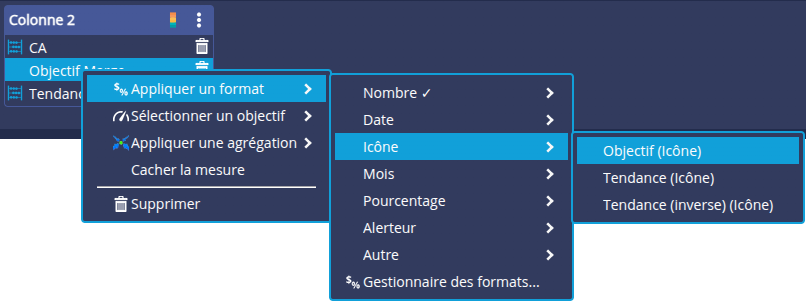 Format objectif (icône)